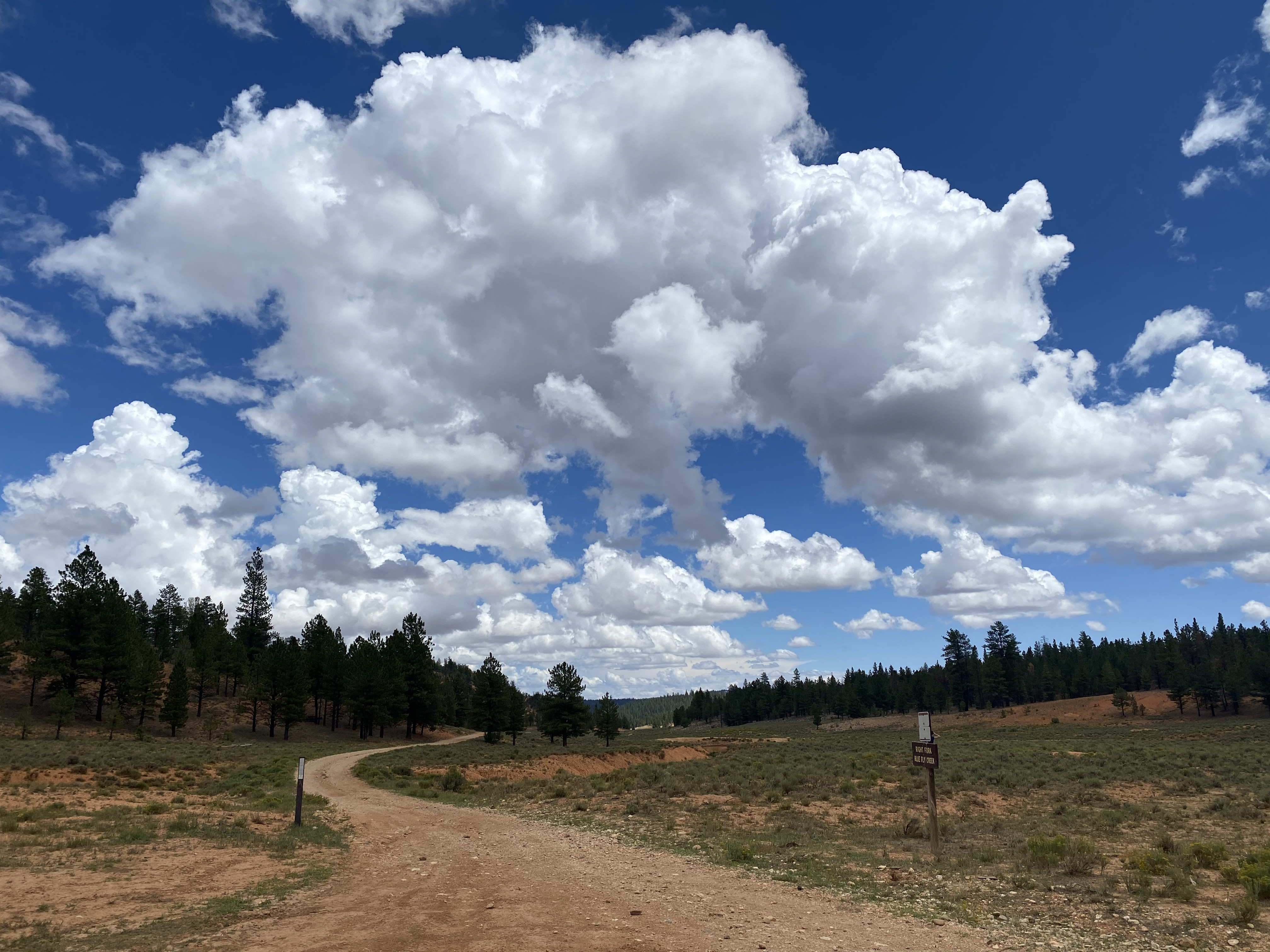 Open Paunsaugunt Plateau ATV trail in Bryce Canyon country