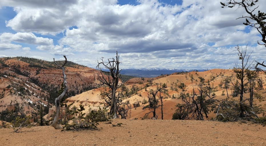 Customer photo of Bryce-area overlooks
