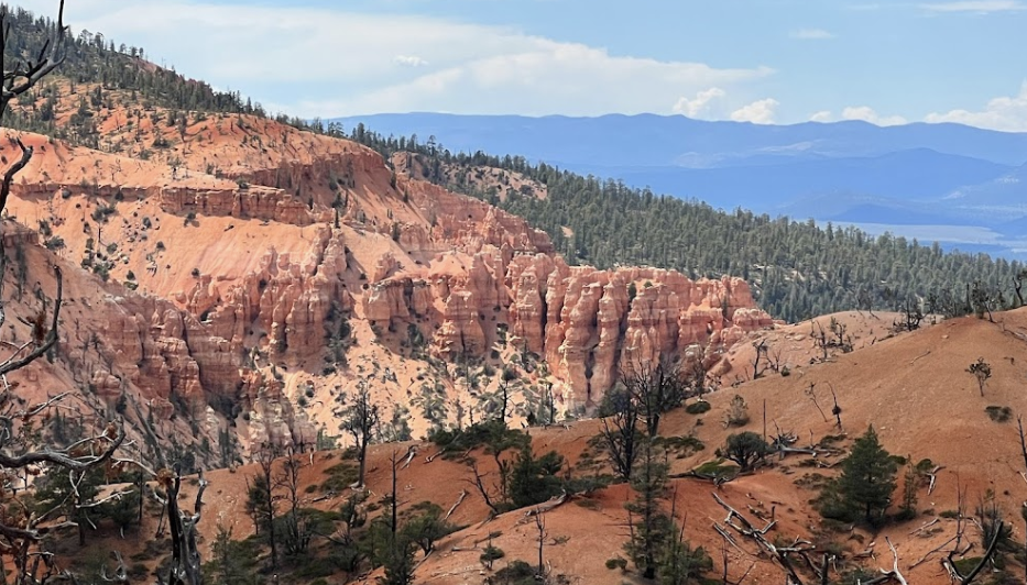 Customer photo of orange cliffs near Bryce Canyon