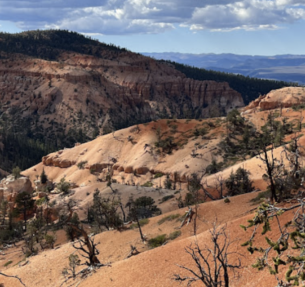 Customer photo of Bryce-area orange cliffs