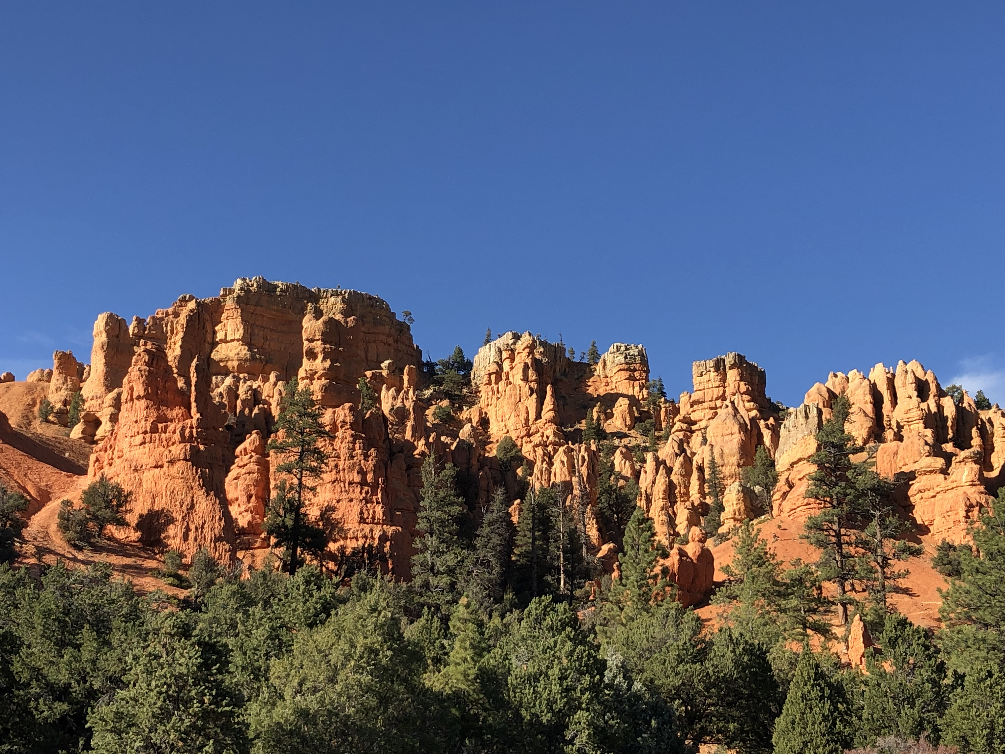 Bright orange cliffs and ATV trail in Bryce Canyon country