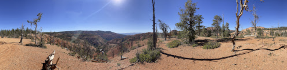 Customer panoramic photo from a Bryce trail overlook